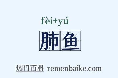 肺鱼是什么意思的图片